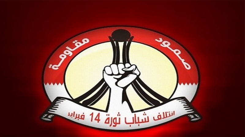 چودہ فروری یوتھ کولیشن
