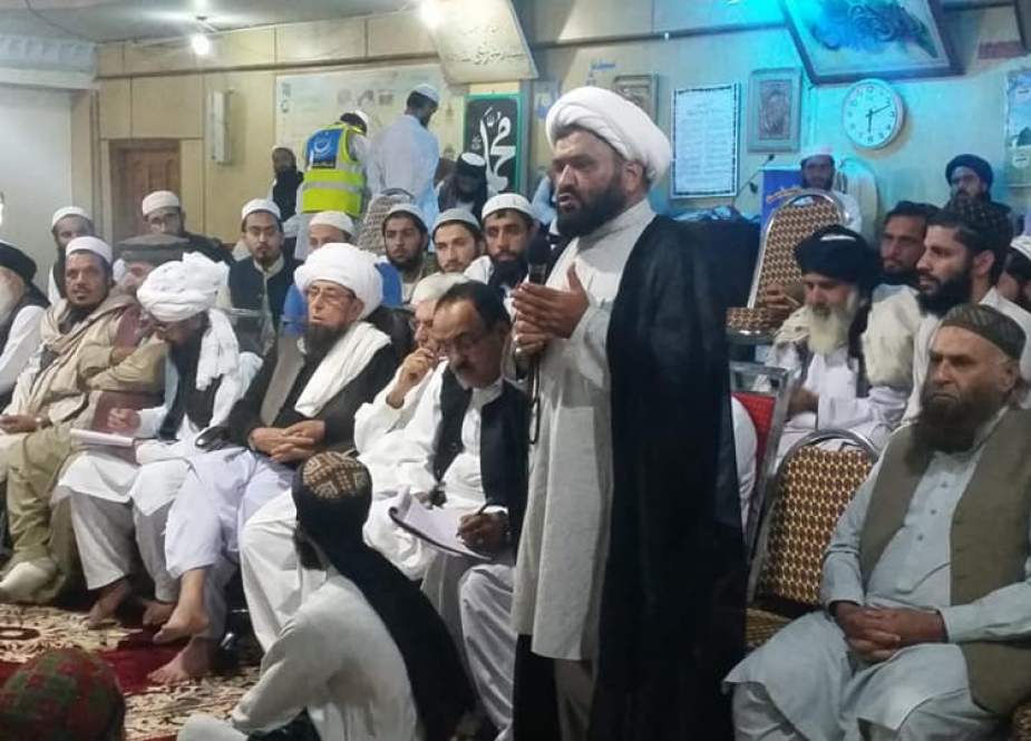 علامہ حمید حسین امامی