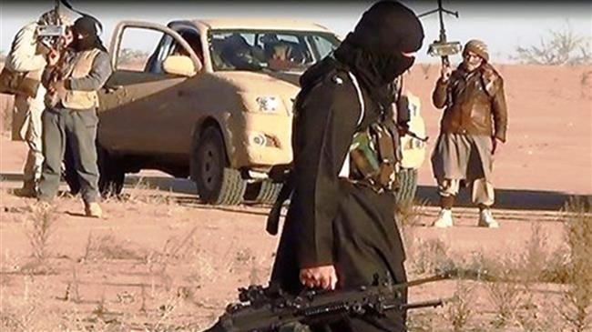 Daesh terrorists
