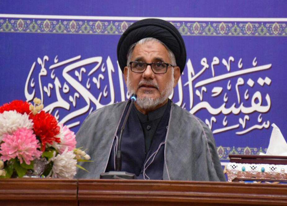 علامہ حسن ظفر نقوی