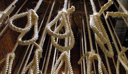 عربستان رکورد اعدام در کشورهای عربی را زد