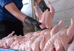 تامین مرغ و گوشت شب عید| مصرف مرغ ۱۱ درصد افزایش یافت