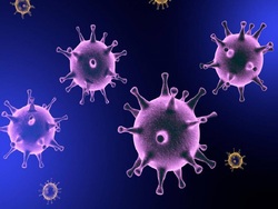 هر آنچه باید در مورد ویروس تازه وارد بدانید