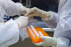 شناسایی ۱۲۸۹ نفر مبتلای جدید به ویروس کرونا | بهبودی ۳۵۲۹ مبتلا