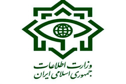 کشف محموله احتکار شده اقلام بهداشتی در تهران توسط وزارت اطلاعات