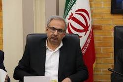 نتایج نهایی انتخابات مجلس در ۹ حوزه انتخابیه استان کرمان اعلام شد