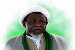 آزادی شیخ زکزاکی، تنها گزینه دولت نیجریه