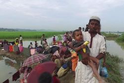 بیش از 250 هزار مسلمان روهینگیا کارت هویت دریافت کردند