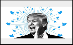 ترامپ، ایران را توئیت‌باران کرد!