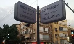 نامگذاری یکی از خیابان‌های تل آویو به نام «اسماعیل هنیه»