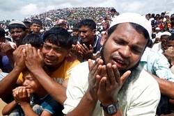 اجبار روهینگیایی‌ها به پذیرش سلب تابعیت میانماری