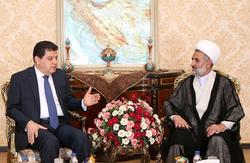 رییس کمیسیون امنیت با سفیر سوریه دیدار کرد