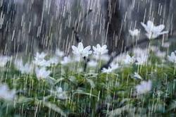 پیش‌بینی باران در ۲۲ استان تا چهارشنبه/ سامانه بارشی جدید در راه است