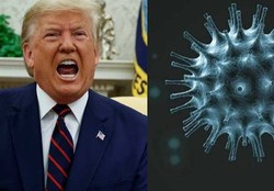 ترامپ با قرنطینه‌کردن «نیویورک» مخالفت کرد