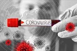 شناسایی ۱۶۳۴ مبتلای جدید به ویروس کرونا | بهبود نیمی از مبتلایان
