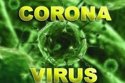شناسایی ۲۹۲۶ مبتلای جدید به ویروس کرونا