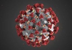شناسایی ۸۵ مورد جدید ابتلا به کروناویروس در ۲۴ ساعت گذشته