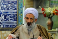 امام خمینی با راهبرد اسلام اصیل، نظام سلطه را به چالش کشید