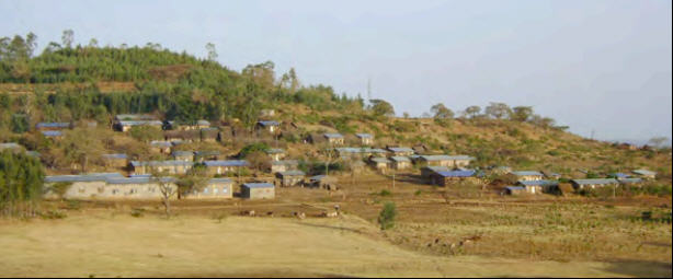 گزارش | آرامبا، یک آرمان شهر در اتیوپی