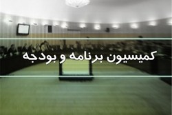 اصلاح ساختار بودجه در مجلس انجام می‌شود