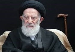 نظر آیتالله شبیری زنجانی درباره مخفی نگهداشتن ابتلا به کرونا