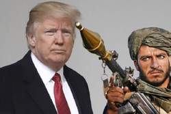 طالبان خواهان پیروزی ترامپ در انتخاب پیش رو آمریکا است