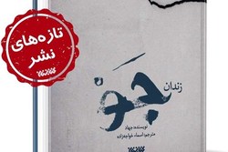 «زندان جَو» کتابی درباره مظلومیت شیعیان بحرین/ روایتی از زندان آل‌خلیفه