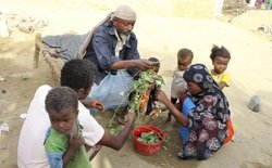 نگرانی شورای امنیت درباره تشدید ناامنی غذایی در یمن