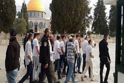 جامعه جهانی تجاوزات اسرائیل به مقدسات فلسطینیان را متوقف کند
