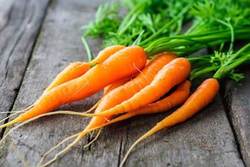 فواید مصرف روزانه هویج