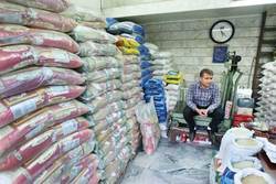بی ثباتی در بازار برنج