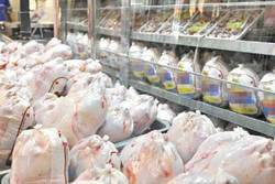ثبات نسبی قیمت مرغ در بازار