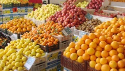 پرتقال با قیمت حداکثری ۹ هزار تومان در سردخانه‌ها قابل عرضه هستند