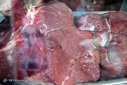 قیمت منطقی هر کیلو گوشت گوشفندی ۱۴۰ هزار تومان