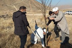 طلاب جهادی؛ از برآورده کردن آرزوی کودکان نیازمند تا کاشت درخت