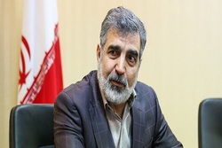 نتایج مذاکره امروز مدیر کل آژانس و رئیس سازمان انرژی اتمی