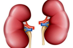 دیابتی ها و خطر ابتلا به نارسایی کلیوی