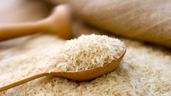 بازگشت قیمت برنج هندی به قیمت قبلی