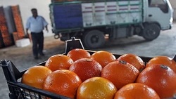 برای شب عید 11 هزار تن پرتقال تدارک دیده شده