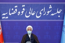 هیچ ایرانی خارج از کشور، ممنوع‌الورود نیست/ ضرورت تعیین تکلیف پرونده های معوق