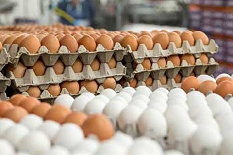 واردات 10 هزار تن تخم مرغ برای ثبات بازار واردات 10 هزار تن تخم مرغ برای ثبات بازار