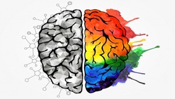 تست روانشناسی میزان هوش نیمکره مغز