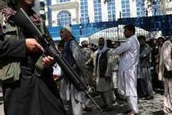 بازداشت تعدادی از اعضای باند زیرزمینی داعش در افغانستان