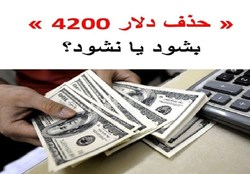 مخالفان حذف ارز 4200 آن هم در شرایط تحریمی اقتصاد ایران چه می‌گویند؟