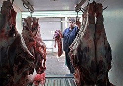 گوشت شقه گوسفندی تا ۸۹.۵ هزار تومان در تهران کاهش یافته است