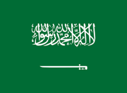 بازداشت ۲۵۰ مقام دولتی در عربستان