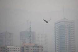 تشدید آلودگی هوای چهار کلانشهر