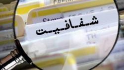 برخی نمایندگان : طرح شفافیت امنیت مارا از بین می برد