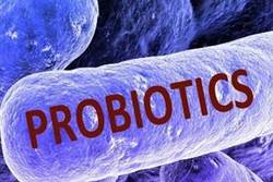 چه مواد غذایی شامل باکتری های پروبیوتیک است؟