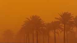 گرد و غبار آسمان امروز خوزستان را سرخ کرد